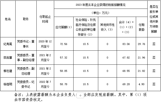 裕龙发展公司企业负责人2023年度薪酬信息披露表