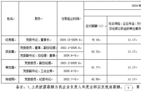 裕龙发展公司企业负责人2024年度薪酬信息披露表}