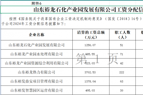 山东裕龙石化产业园发展有限公司工资分配信息披露}