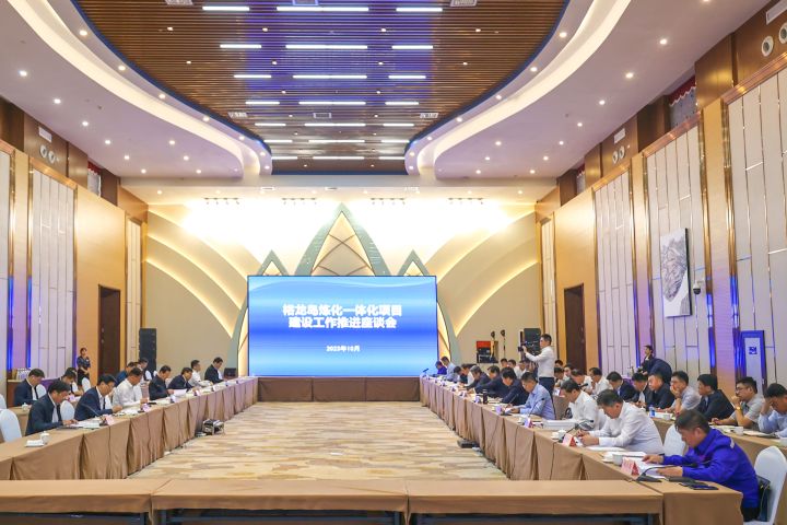 周乃翔到裕龙岛炼化一体化项目调研并主持召开座谈会