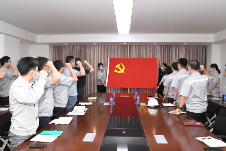 裕龙发展公司党委组织开展“庆七一”系列活动