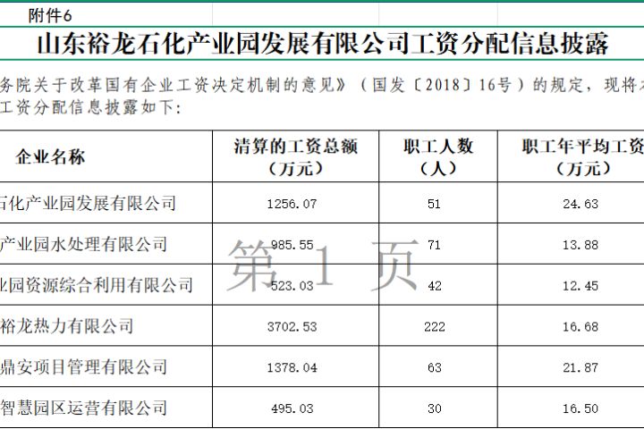 山东裕龙石化产业园发展有限公司工资分配信息披露